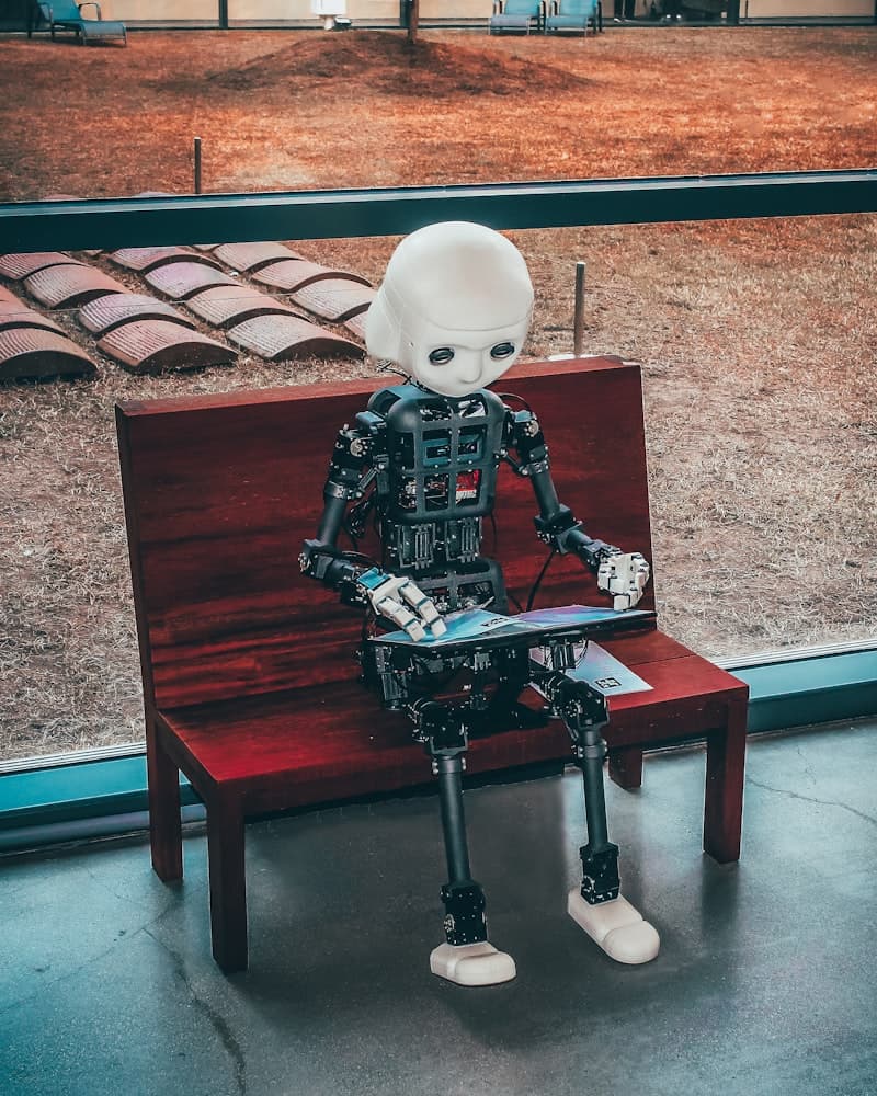 The Future of AI: What Business Owners Need to Know